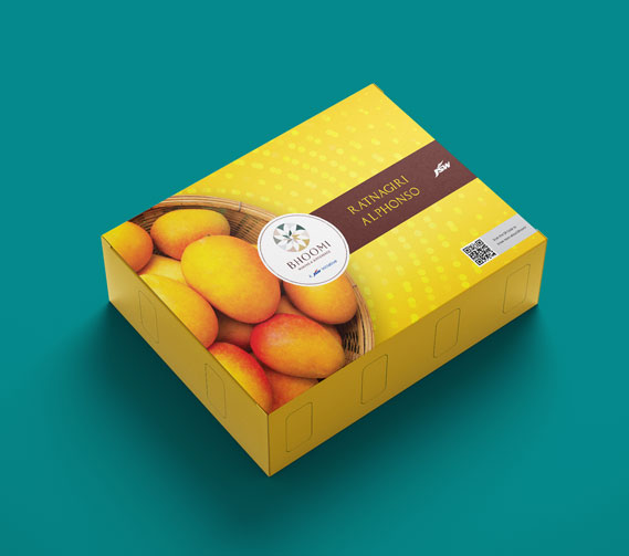 Alphonso Mango